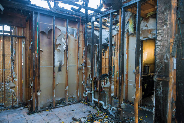 Professional Fire Damage Removal technician working in Glenmont, MD